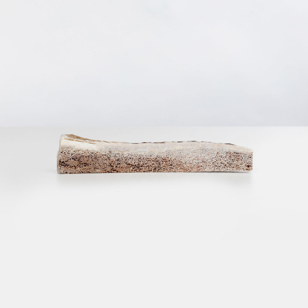 Primal Stag Split Antler - Main Image