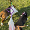 Dooloop Charcoal Poop Bag Holder for Dogs