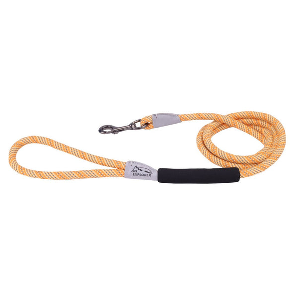 Coastal Pet Products K9 Explorer Brights Reflective Braided Rope Snap Leash in Desert