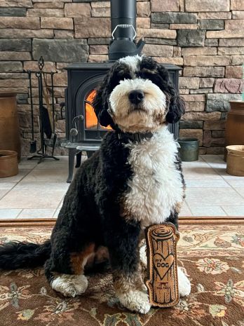 Tall Tails Natural Leather "Love My Dog" Log Toy for Dogs